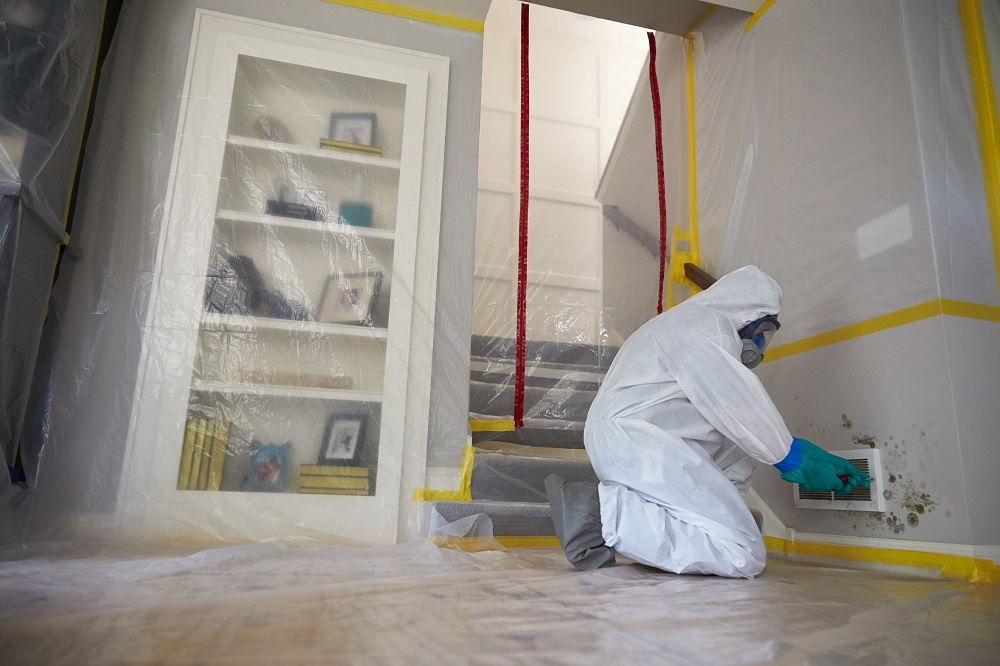 Mold Remediation Services in Hartford County