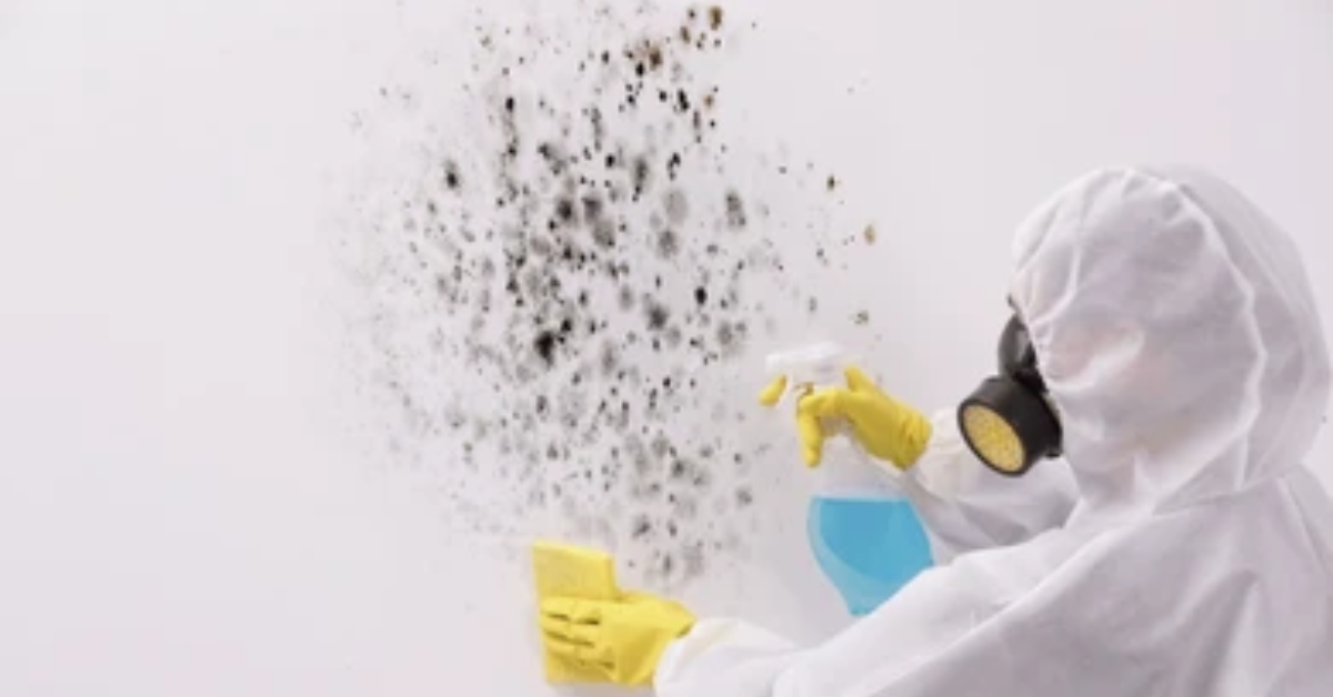 mold, remediation professionals