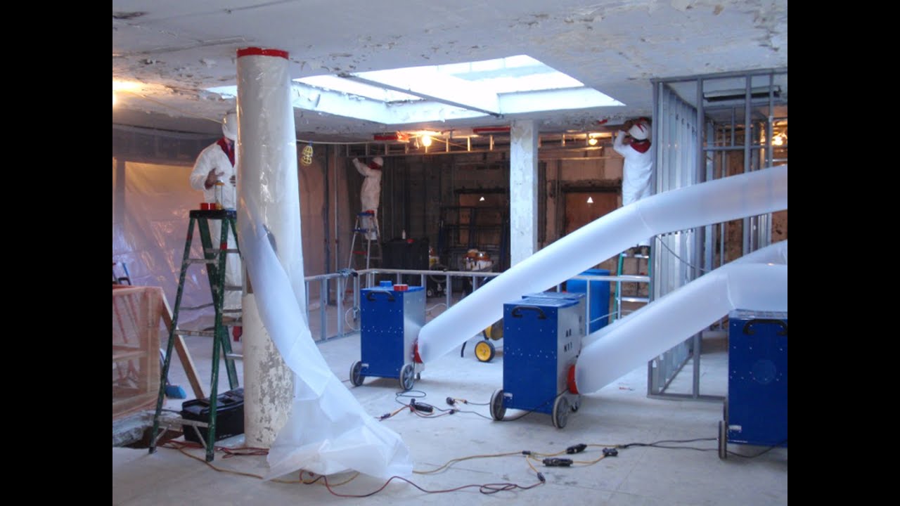 Emerging Technologies in Mold Remediation