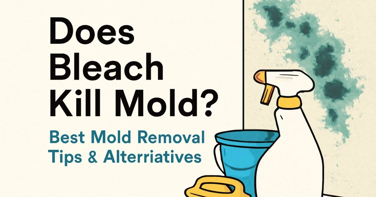 Does Bleach Kill Mold
